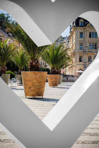 Designové květináče s palmami