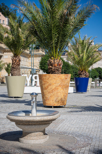 Designové květináče s palmami