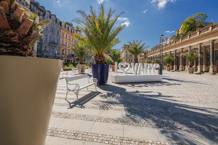 Designové květináče s palmami