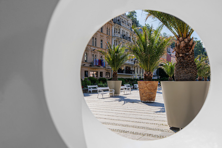 Designové květináče s palmami