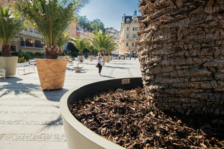 Designové květináče s palmami