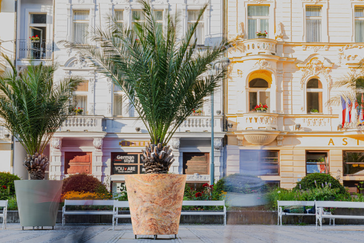 Designové květináče s palmami