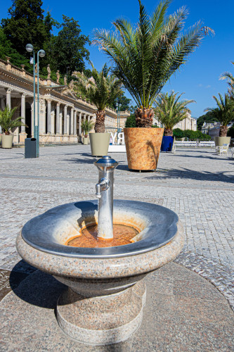 Designové květináče s palmami