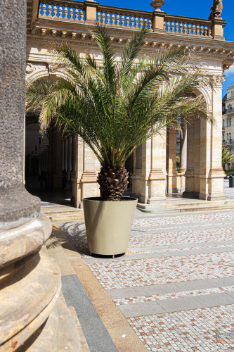 Designové květináče s palmami