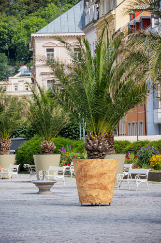 Designové květináče s palmami