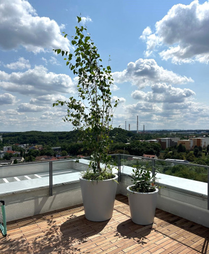 Venkovní květináče vytvářející soukromí na terase