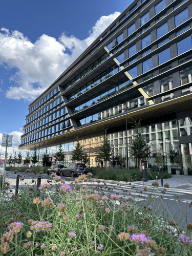 Sklolaminátové květináče v antracitové barvě na terase