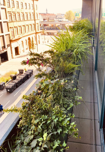 Sklolaminátové květináče v antracitové barvě na terase