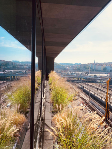 Sklolaminátové květináče v antracitové barvě na terase