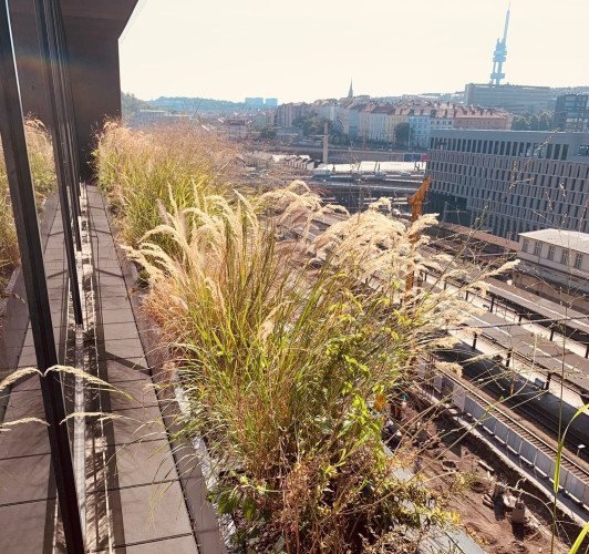 Sklolaminátové květináče v antracitové barvě na terase