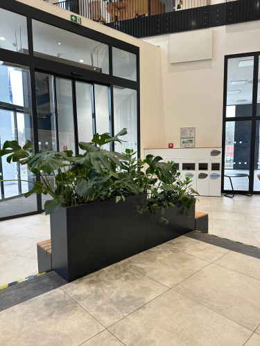 Interiérové květináče s výsadbou ve vstupní hale úřadu
