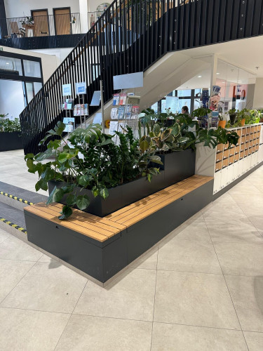 Interiérové květináče s výsadbou ve vstupní hale úřadu