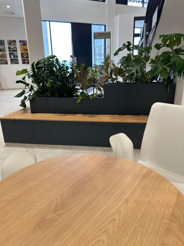 Interiérové květináče s výsadbou ve vstupní hale úřadu