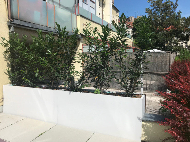 Květináč s treláží jako dělící stěna na terase