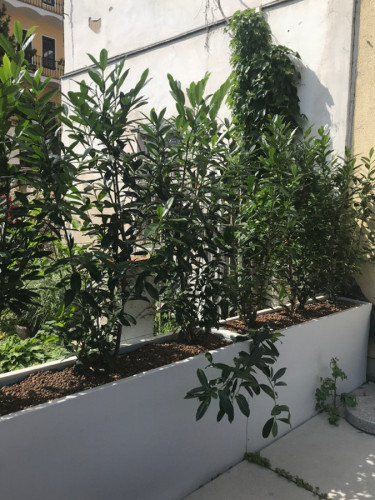 Květináč s treláží jako dělící stěna na terase