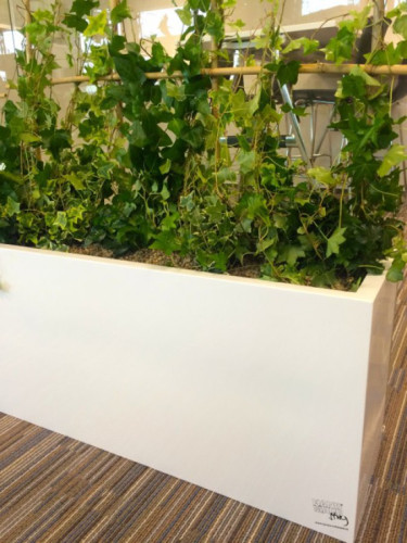 Designové truhlíky