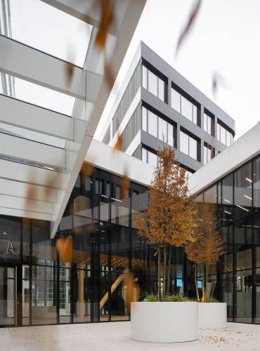 Květináče beze dna pro výsadbu stromů