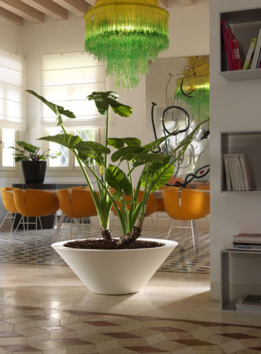 Sada kónických designových květináčů