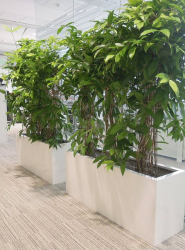 Sklolaminátové květináče v bílém lesku