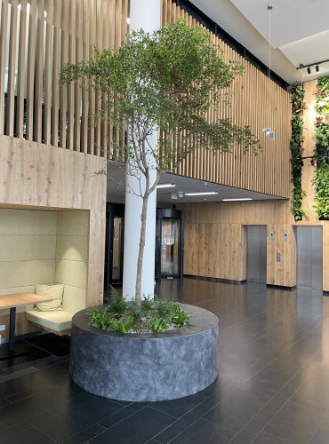 Interiérové květináče pro kancelářské prostory