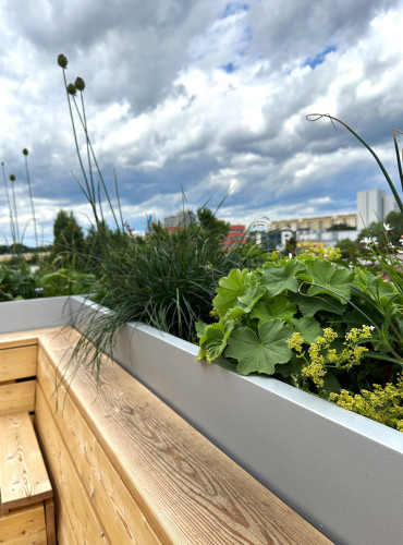 Designové květináče na terase Fyzikálního ústavu