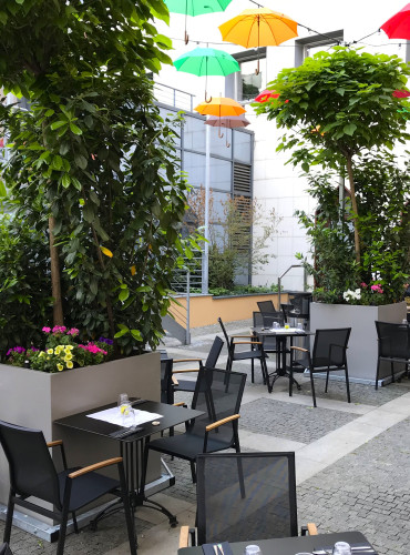 Designové květináče se vzrostlými stromy