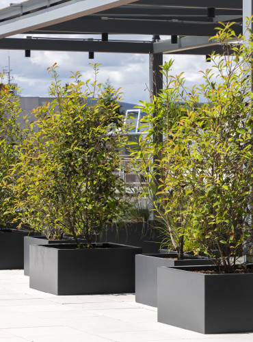 Venkovní květináče na terase Gastrocentra Trenčín