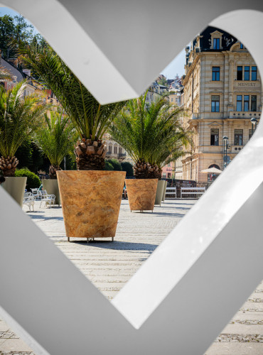 Designové květináče s palmami