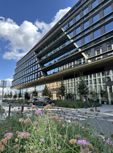 Sklolaminátové květináče v antracitové barvě na terase